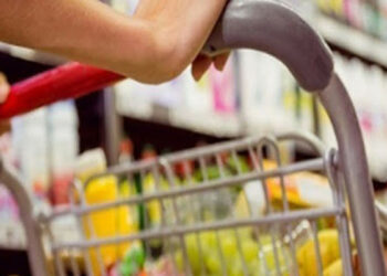 اقتصاد: الميزان التجاري الغذائي يسجّل فائضا بقيمة 683،2 مليون دينار