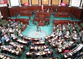 البرلمان: نواب يبحثون بعث لجنة مساندة ومتابعة “لأسطول الصمودوالمغاربي والعالمي”