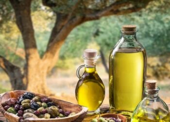 زيت الزيتون:تراجع عائدات الصادرات بنسبة 29،5 بالمائة