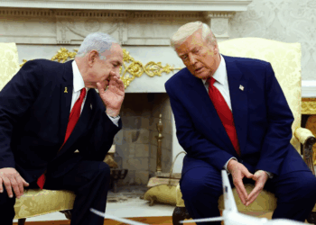 واشنطن بوست تنشر تفاصيل خطة ترامب لـ”غزة ما بعد الحرب”