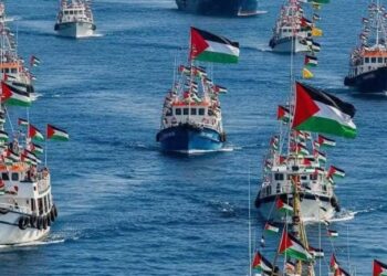 أسطول الصمود العالمي: غزة تقترب وإرادة الناشطين تزداد قوّة