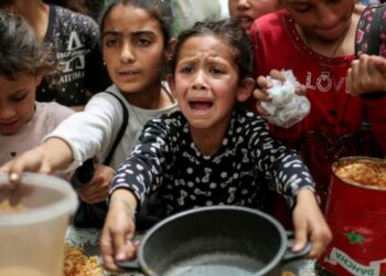 غزة-مباشر: اليونيسيف تؤكّد ان الأطفال لم يعد بإمكانهم البقاء على قيد الحياة