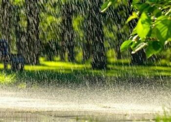 أهمّها كان  بطبرقة: كميات الأمطار خلال ال24 ساعة الماضية