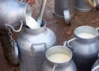 الحكومة تحدد المخزون التعديلي من الحليب المعقم الطازج