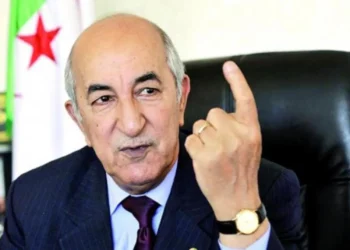 الرئيس الجزائري: لا نتدخّل في الشّأن  التّونسي وعلاقاتنا جيّدة