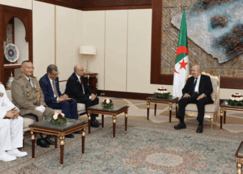 وزير الدفاع يلتقي عبد المجيد تبّون في الجزائر