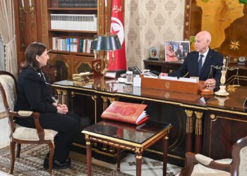 قانون المالية والمباني الاقتصادي محور لقاء رئيس الجمهورية برئيسة الحكومة