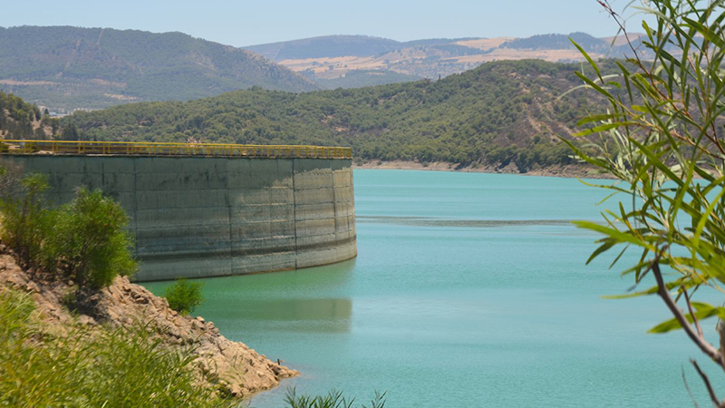 تأمينا لمياه الشرب وحفاظا على التوازنات البيئية: وزير الفلاحة يؤكد برمجة مشاريع مائية لسنة 2026