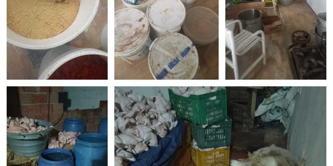 حملات رقابة تسفر حجز أكثر من 7.6 طن من المواد الغذائية الفاسدة وغير الصالحة للإستهلاك