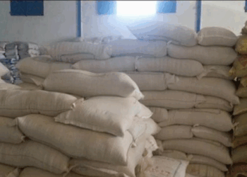 لآحتوائها على حشرة السوس: حجز وإتلاف أطنان من الأعلاف بقبلي