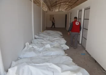 تظهر عليها علامات التنكيل والضرب وتكبيل الأيدي وتعصيب الأعين: تسلم جثامين 15 شهيدا فلسطينيا