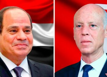 رئيس الجمهورية يهنئ نظيره المصري بالذكرى 52 لحرب العبور