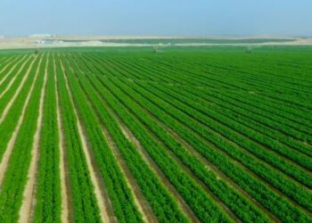 استرجاع عقار يمسح 50 هكتارا بالقصرين وتحويزه للفلاحين الشبان