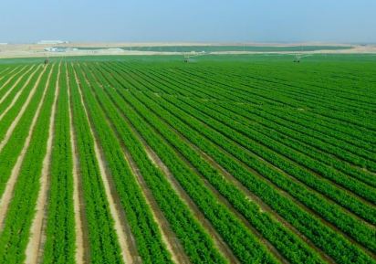 استرجاع عقار يمسح 50 هكتارا بالقصرين وتحويزه للفلاحين الشبان