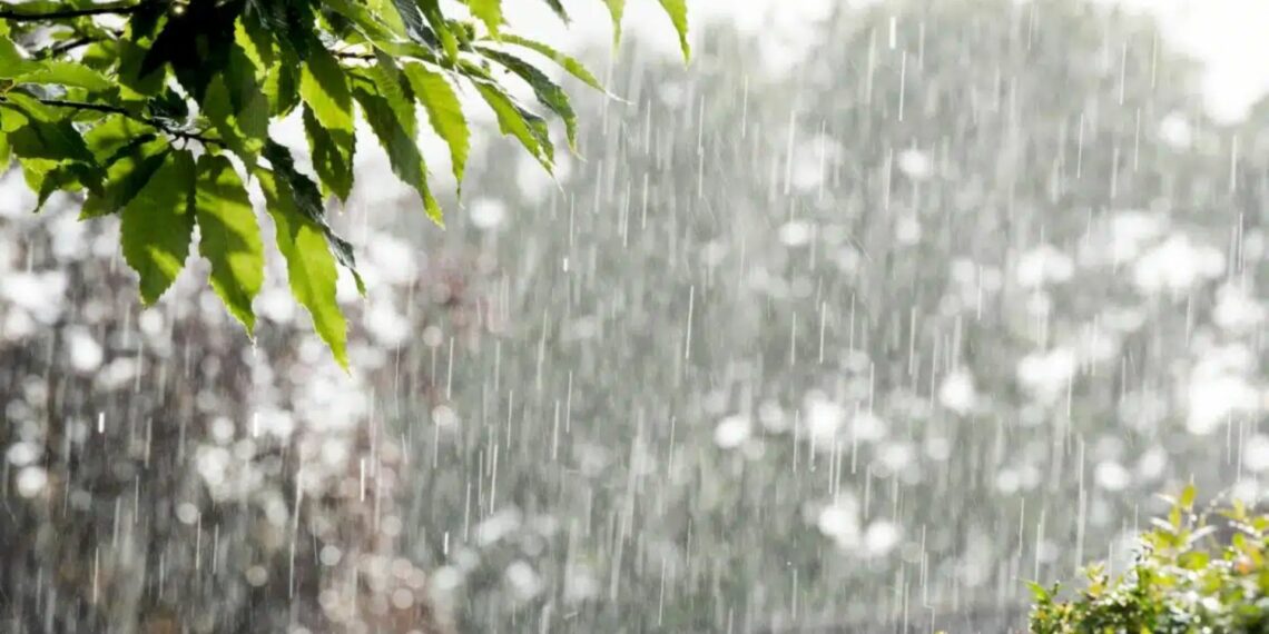 كميات الأمطار المُسجّلة خلال الـ24 ساعة الماضية