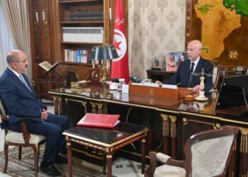 رئيس الدولة يؤكد ضرورة مضاعفة الجهود من أجل عودة التونسيّين الذين احتجزتهم قوات الكيان الصهيوني في أسرع الآجال