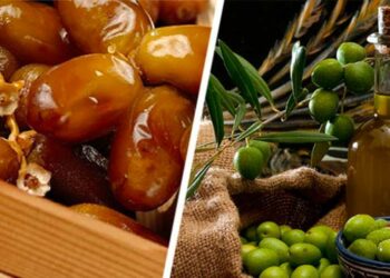 إعتمادات بقيمة 90 مليون دينار لتمويل صغار الفلاحين بالنسبة لمواسم الحبوب والزياتين والتمور