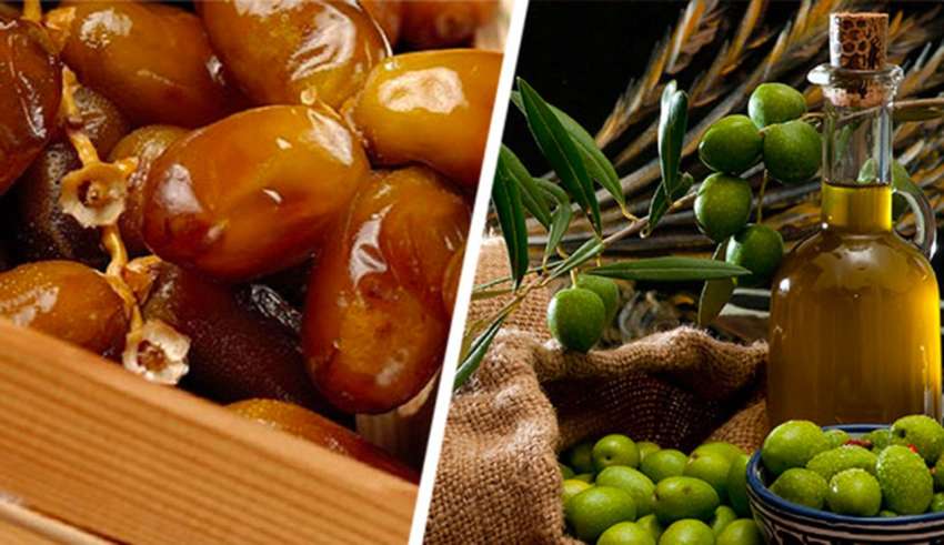 إعتمادات بقيمة 90 مليون دينار لتمويل صغار الفلاحين بالنسبة لمواسم الحبوب والزياتين والتمور