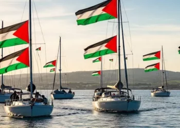 الإحتلال: نسيطر على أكثر من 40 سفينة من أسطول الصمود