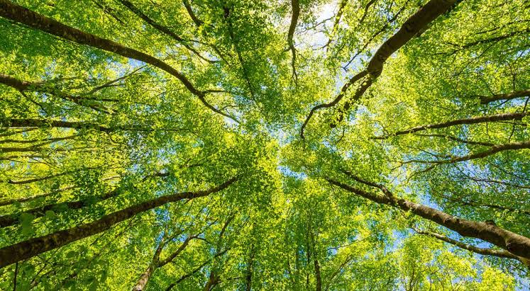 تونس تتحصل على الإعتماد من الصندوق الأخضر للمناخ لأول مرة