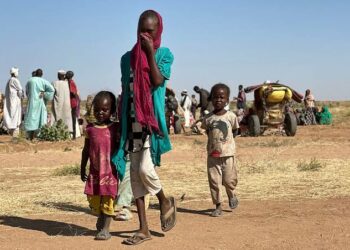 قوات الدعم السريع “تعدم أكثر من ألفي مدني أعزل” في مدينة الفاشر