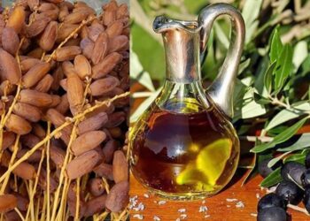 ترويج زيت الزيتون والتمور: وزير التجارة يؤكد ضرورة المحافظة على الأسواق التقليدية واستكشاف أسواق واعدة ووجهات جديدة