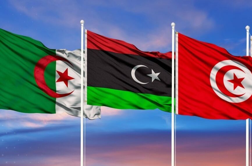 وزارة الخارجية: اجتماع آلية التشاور الثلاثي حول ليبيا غدا بالجزائر