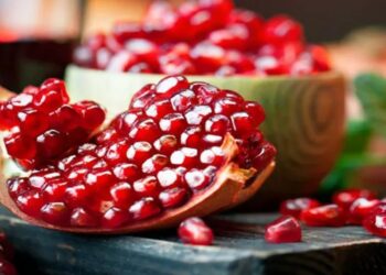 تستور-باجة: “مهرجان الرمّان” استقطب أكثر من  300 ألف زائر