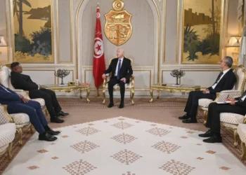 رئيس الجمهورية يتسلّم أوراق اعتماد سفراء جدد في تونس