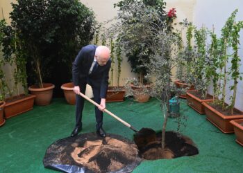 بمقر المجلس الاعلى للتربية والتعليم: رئيس الجمهورية يشرف على الاحتفال بعيد الشجرة