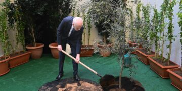 بمقر المجلس الاعلى للتربية والتعليم: رئيس الجمهورية يشرف على الاحتفال بعيد الشجرة