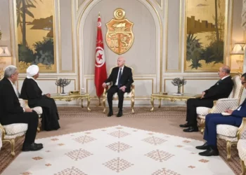 رئيس الجمهورية يتسلم أوراق اعتماد سفراء جدد في تونس