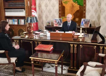 رئيس الجمهورية: تونس لا تريد التنكيل بأحد ولا تحتاج إلى الكفاءة دون وطنية