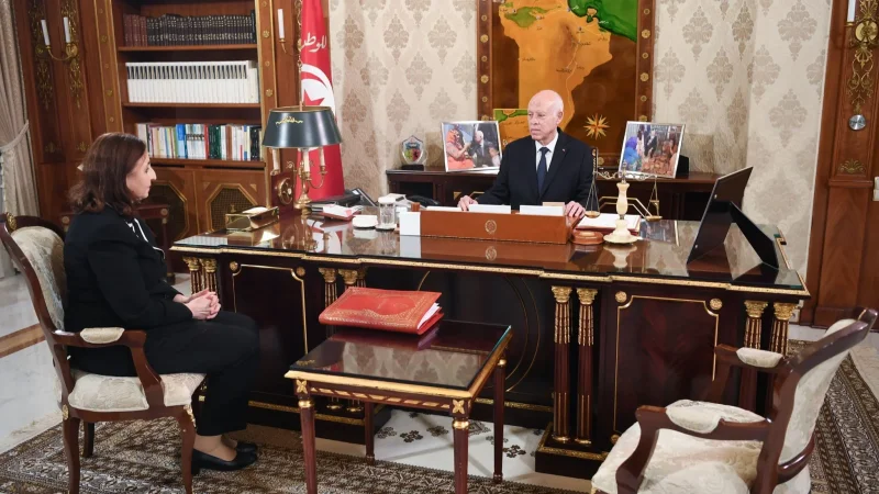 رئيس الجمهورية: تونس لا تريد التنكيل بأحد ولا تحتاج إلى الكفاءة دون وطنية