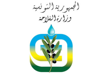 لانتداب 234 مهندسا: وزارة الفلاحة تفتح مناظرة خارجية