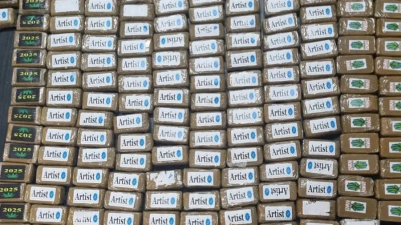 سوسة: حجز أكثر من 20 كلغ من مخدر “الزطلة”