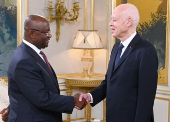 رئيس الجمهوريّة ينوه بالشراكة الإستراتيجية القائمة بين تونس والبنك الإفريقي للتصدير والتوريد