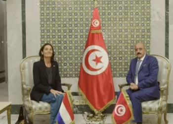 لعدم التزامها بضوابط العمل الدبلوماسي وعدم التدخل بأيّ شكل من الأشكال في الشؤون الداخلية لتونس: وزير الخارجية يبلغ سفيرة هولندا بتونس احتجاجا شديد اللهجة