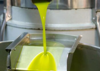 سيدي بوزيد: تركيز مخبر لتحليل زيت الزيتون بمقر الديوان الجهوي