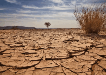 وزارة الفلاحة: تونس جعلت من التكيّف مع الجفاف محورًا أساسيًا في استراتيجيتها الوطنية للمياه