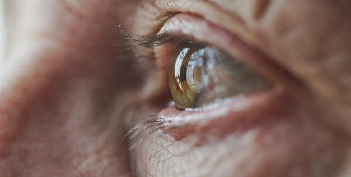 مستشفى الفحص: انتفاع أكثر من 100 شخص بخدمات يوم مفتوح لتقصي اعتلال الشبكية السكري