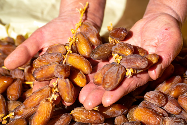 بداية من الغد حتى 7 ديسمبر: ترويج التمور بأسعار تفاضلية في العاصمة