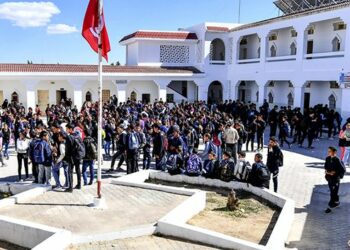 تطاوين: تجهيز 14 مؤسسة تربوية بالطاقة الشمسية