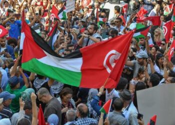تونس تدعو جميع الدول إلى تحمل مسؤولياتها والوقوف أمام الخرق المتعمد والممنهج للكيان الصهيوني المحتل للقانون الدولي