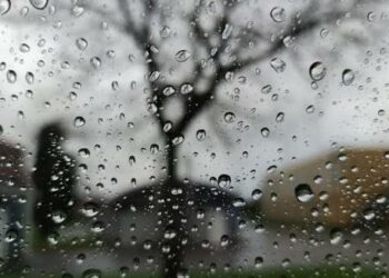 درجات الحرارة هذا الشتاء ستكون أعلى من المعدل الطبيعي في تونس