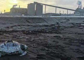 قابس: تأجيل القضية الاستعجالية ضدّ المجمع الكيميائي التونسي