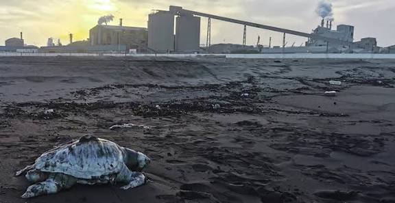 قابس: تأجيل القضية الاستعجالية ضدّ المجمع الكيميائي التونسي