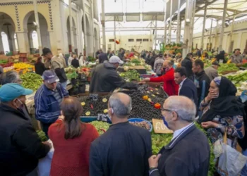 وزير التجارة: نسعى إلى تركيز نقاط بيع من المنتج إلى المستهلك في كل الولايات