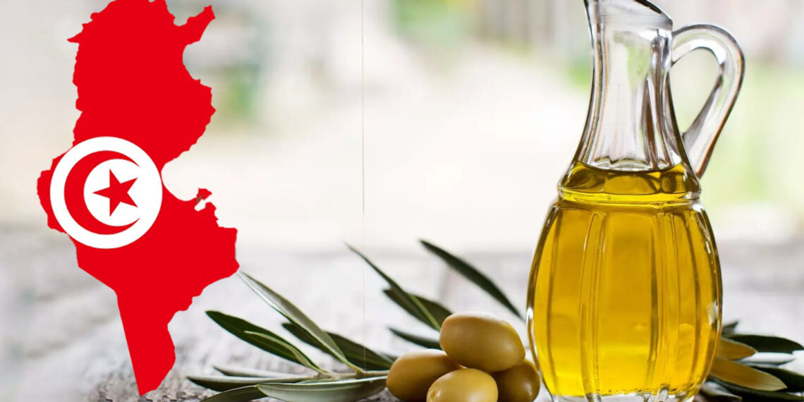 ديوان الزيت يُعدُ مخزون من زيت الزيتون باعتماد أسعار مشجعة