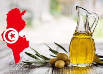 ديوان الزيت يُعدُ مخزون من زيت الزيتون باعتماد أسعار مشجعة